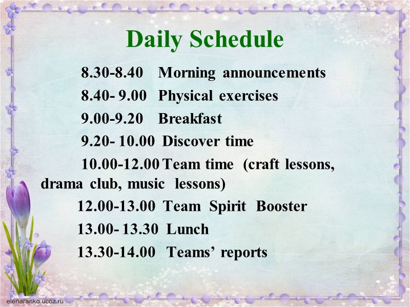 Daily Schedule            